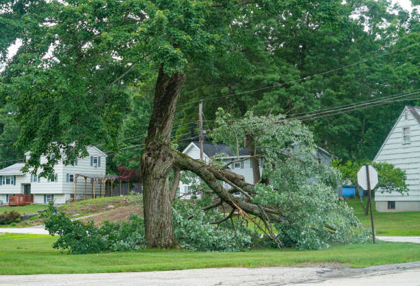 Seasonal Cleanup (Spring/Fall) in Glasgow, KY